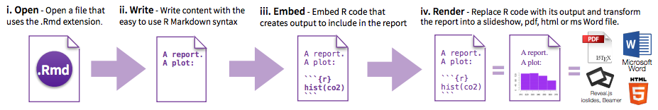 R Markdown Workflow